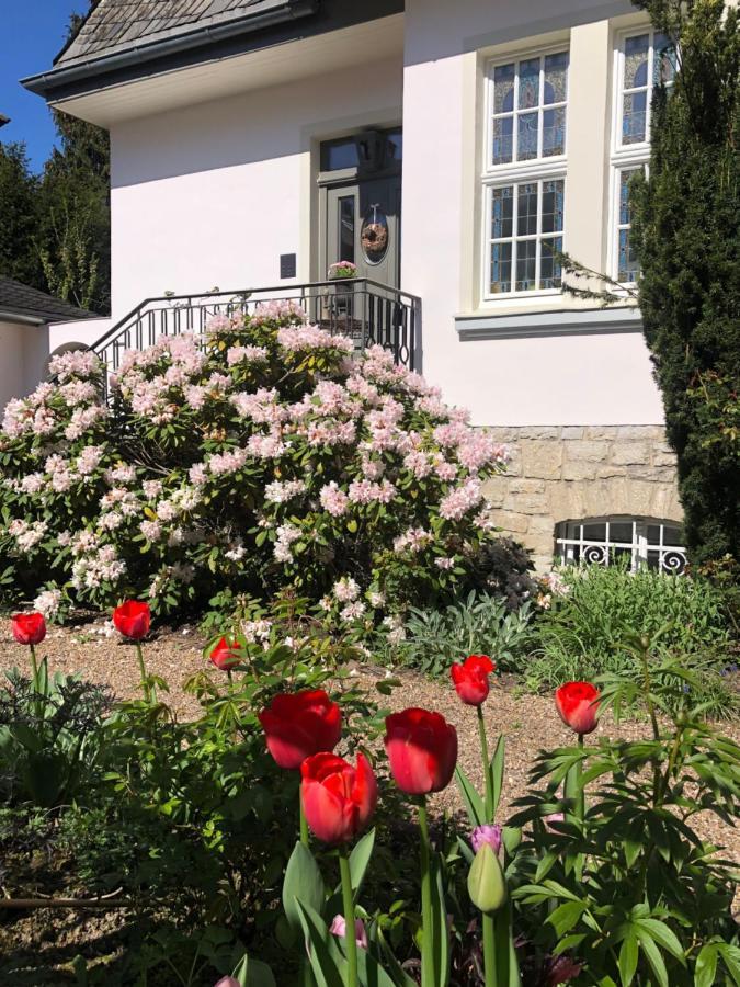 Villa Rosa - Sky Detmold Exterior photo